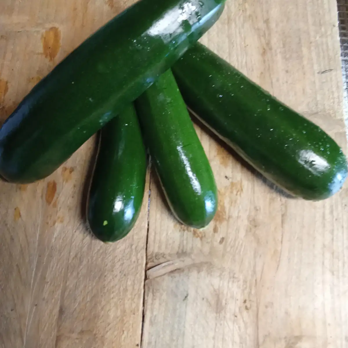 Courgette verte