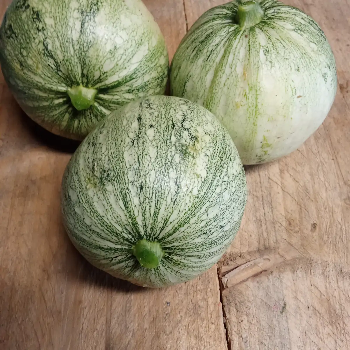 Courgette ronde (pièce)