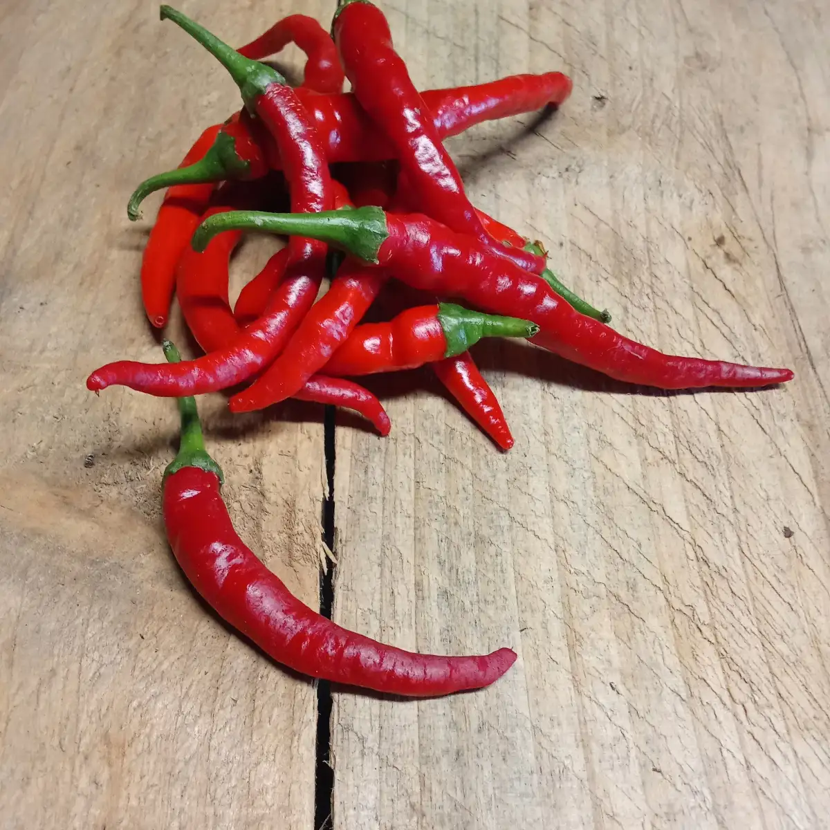 Piment de Cayenne