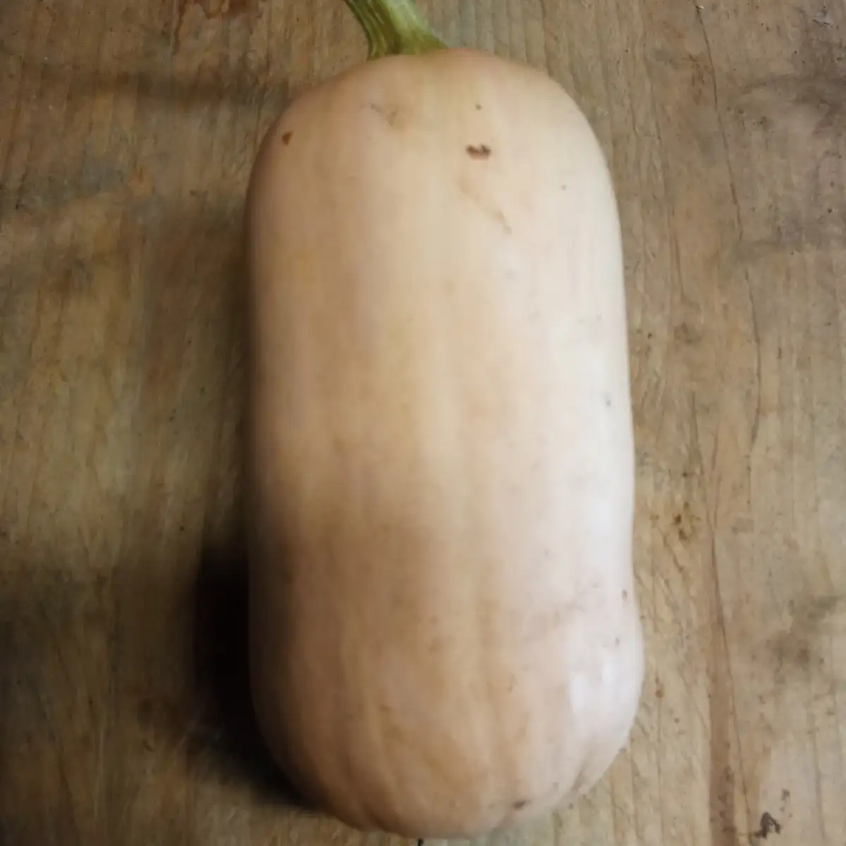 Butternut (pièce)