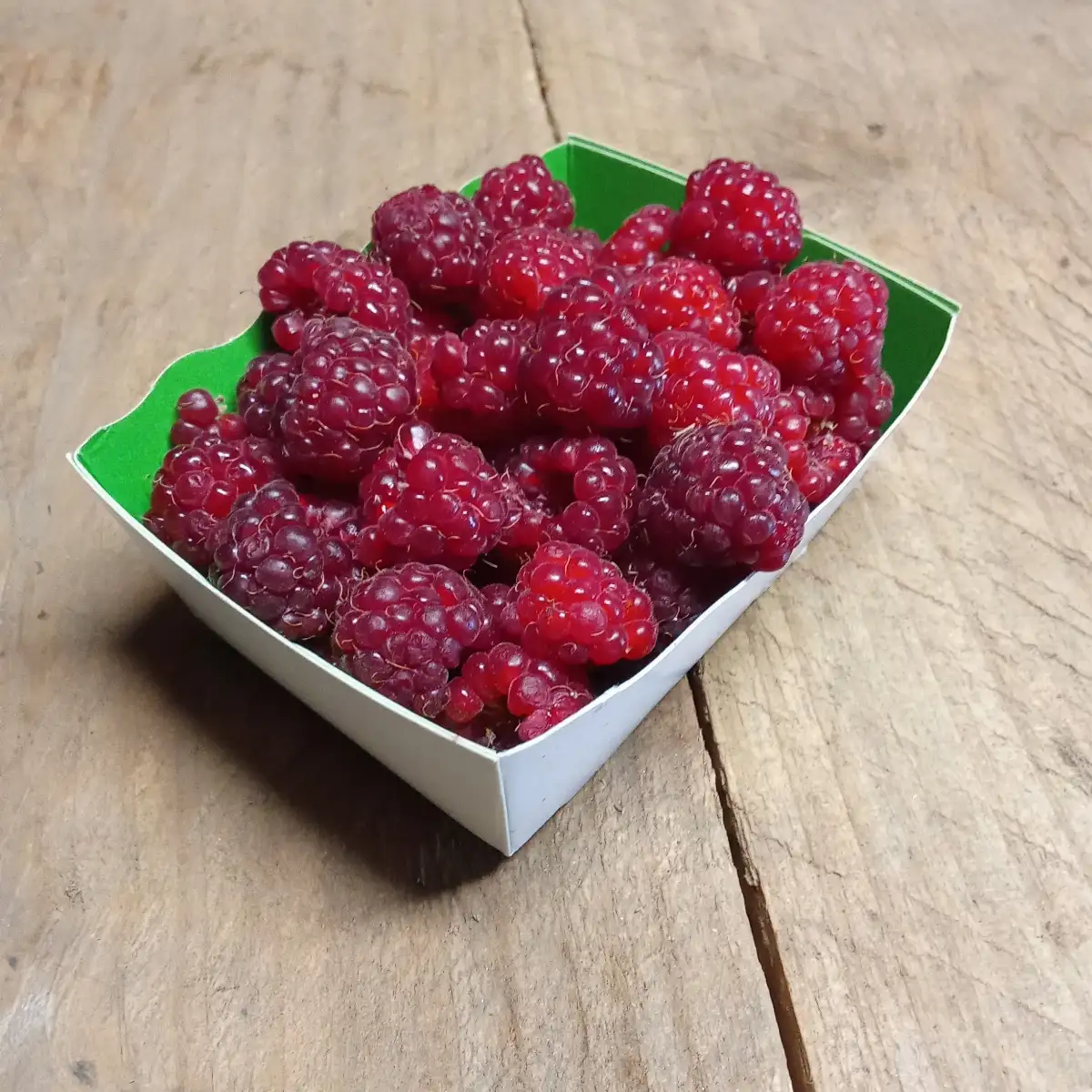 Framboise